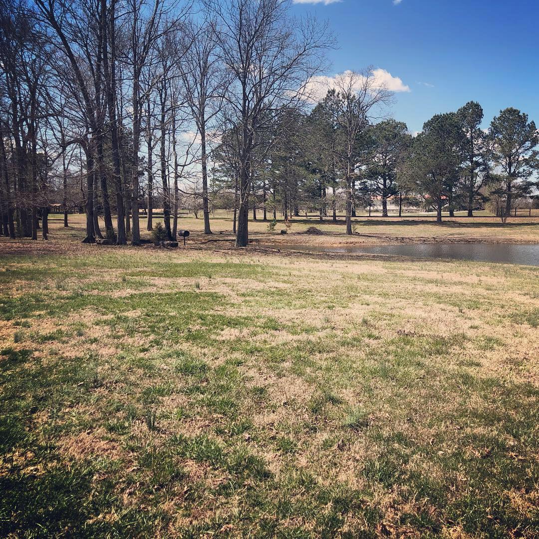 9144 New Chapel Road Springfield, TN 37172 - Photo 5 of 5