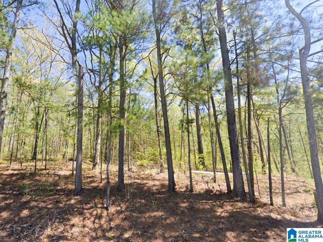 5565 Red Robin Road Sylacauga, AL 35151 - Photo 8 of 15