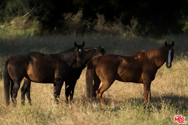 $1,200,000 | 41924 Patrick Avenue, Unit TPN#4337/3, Coarsegold, CA 93614