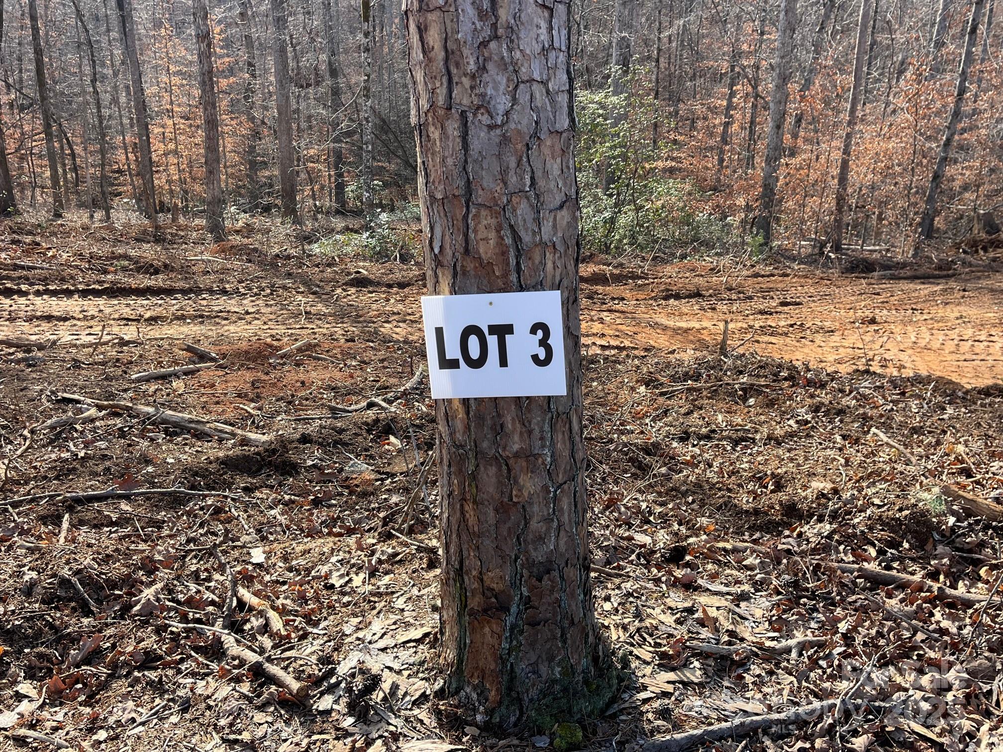 a sign that is sitting in the middle of a forest