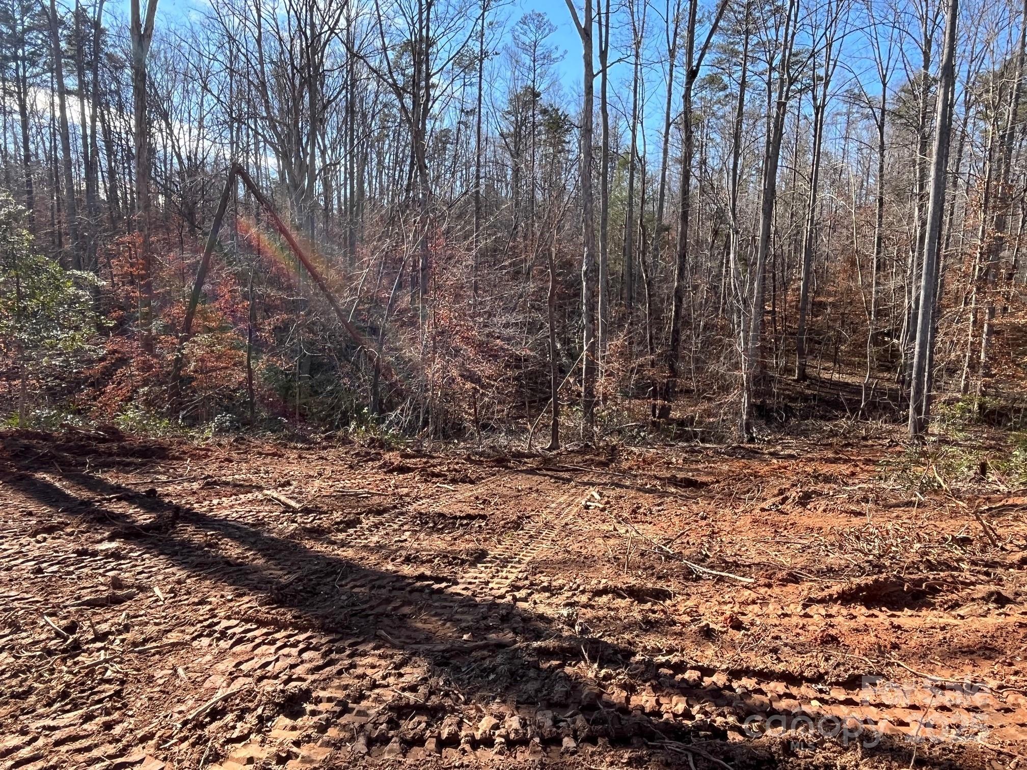 0 Hudlow Road, Unit 3 Forest City, NC 28043 - Photo 7 of 10 a view of outdoor space with trees
