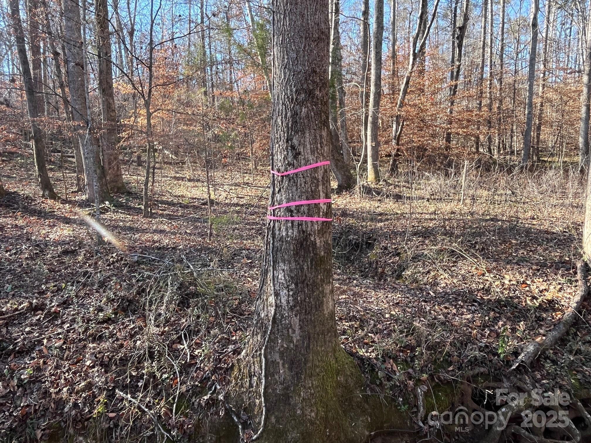 0 Hudlow Road, Unit 3 Forest City, NC 28043 - Photo 10 of 10 a flag is sitting in the middle of forest