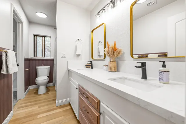 a bathroom with a double vanity sink a mirror and a toilet