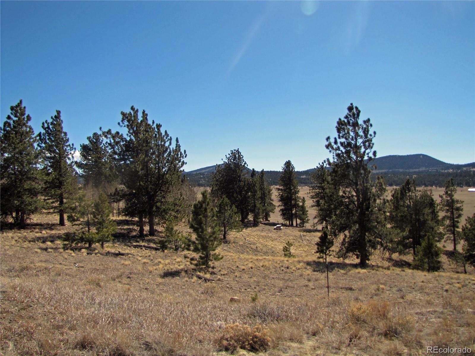 0 Wagon Wheel Road Hartsel, CO 80449 - Photo 3 of 8 Gallery Image 3