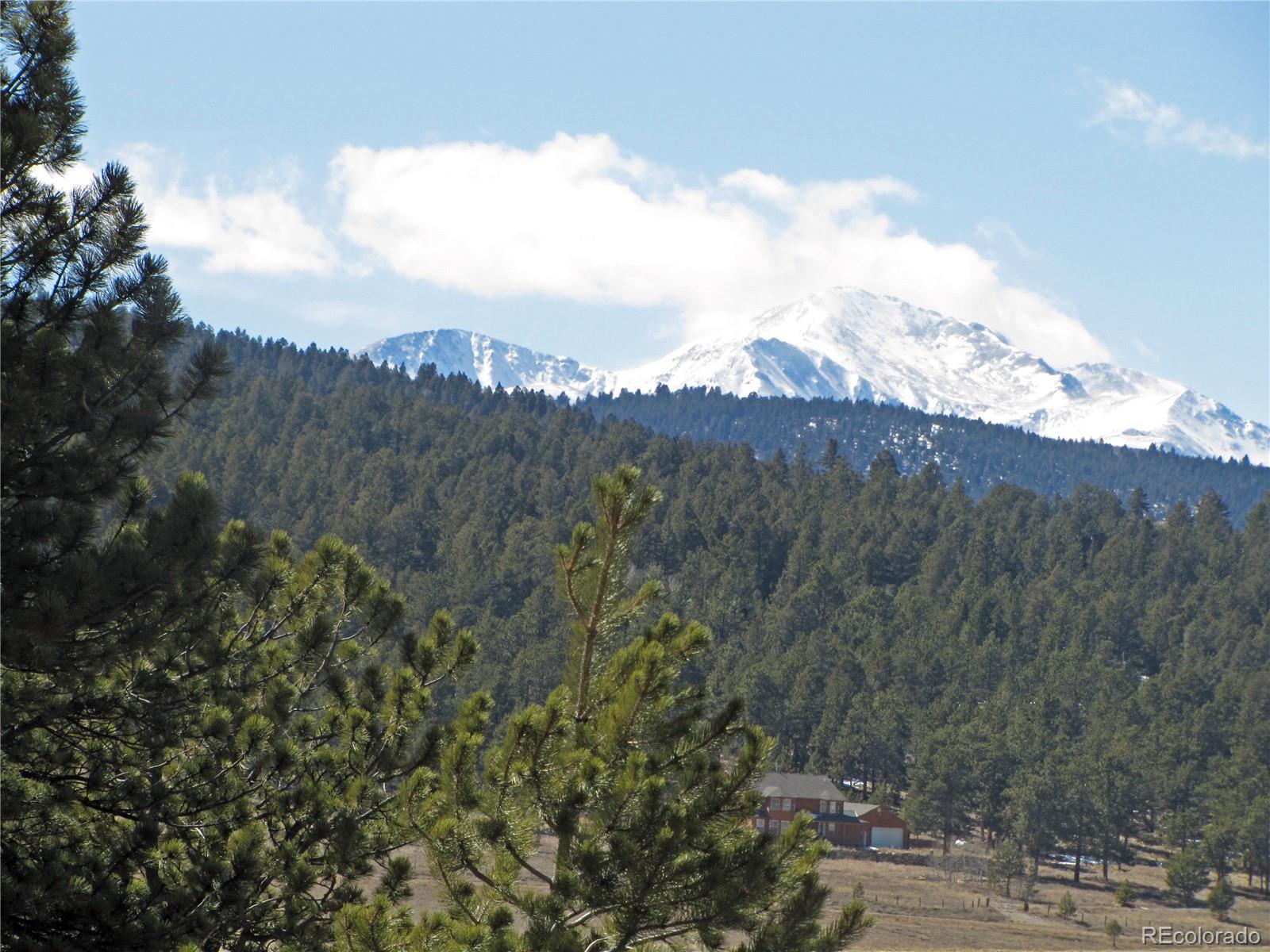 0 Wagon Wheel Road Hartsel, CO 80449 - Photo 4 of 8 Gallery Image 4