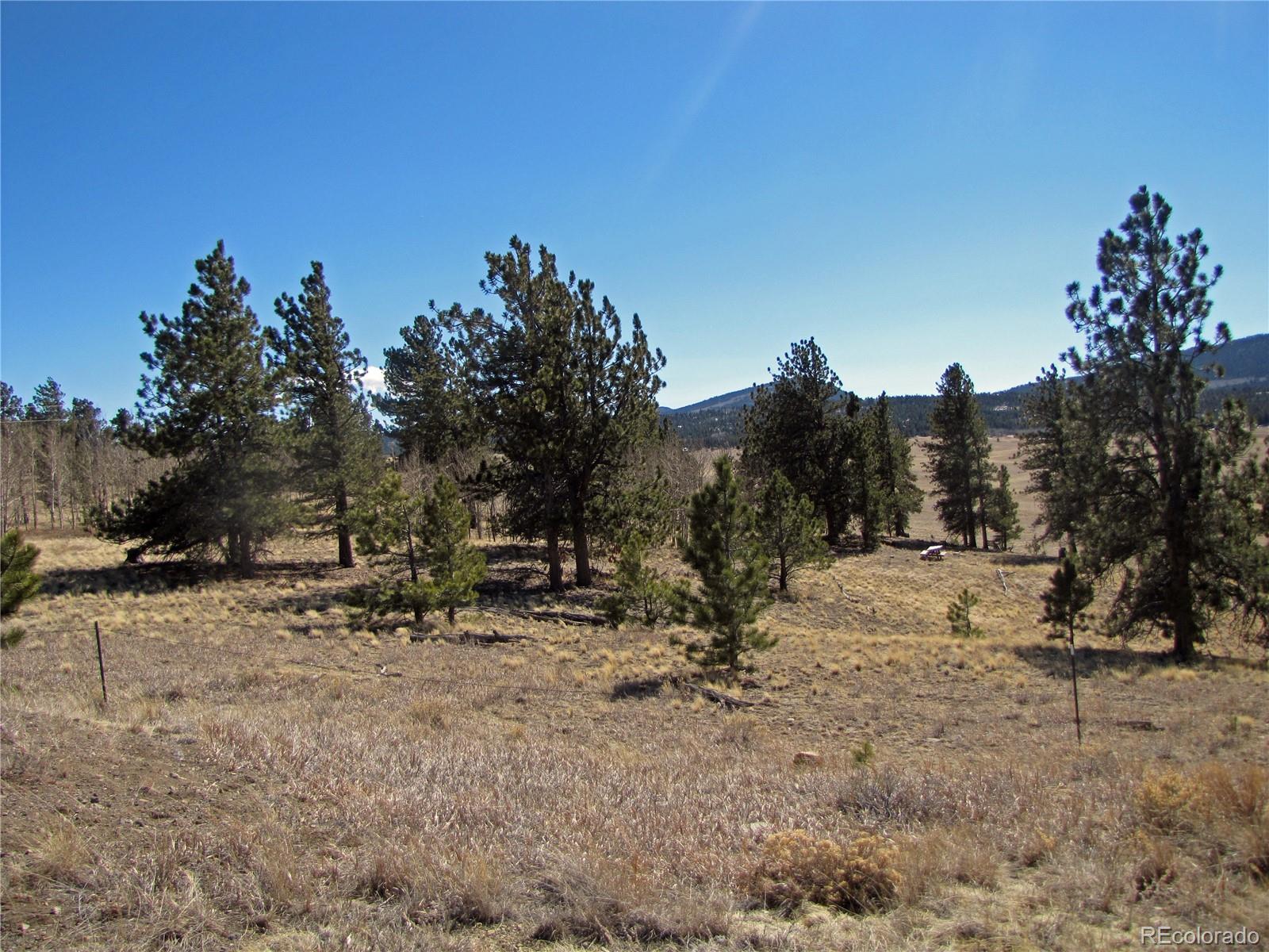 0 Wagon Wheel Road Hartsel, CO 80449 - Photo 5 of 8 Gallery Image 5