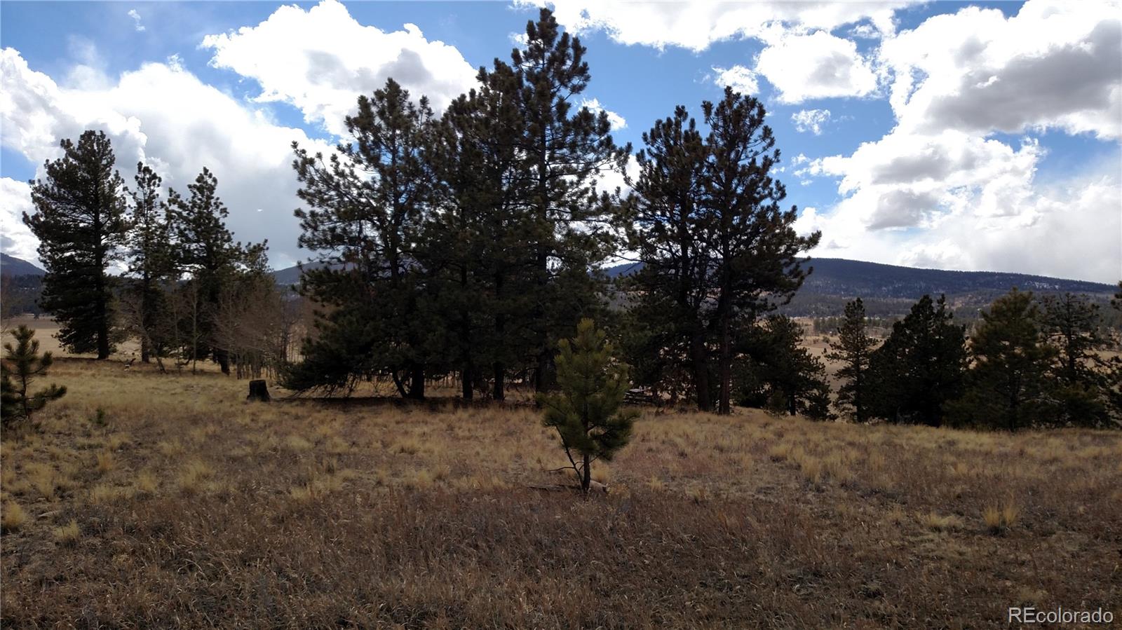 0 Wagon Wheel Road Hartsel, CO 80449 - Photo 6 of 8 Gallery Image 6