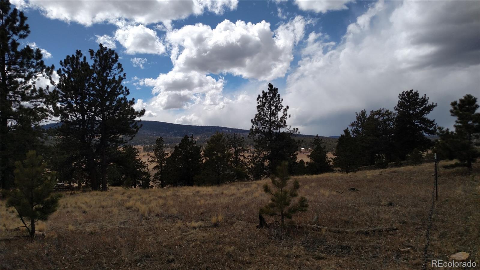 0 Wagon Wheel Road Hartsel, CO 80449 - Photo 7 of 8 Gallery Image 7
