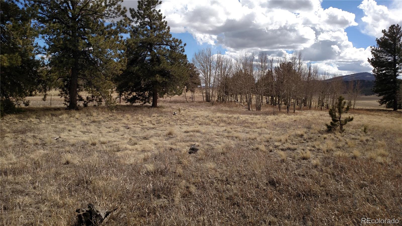 0 Wagon Wheel Road Hartsel, CO 80449 - Photo 8 of 8 Gallery Image 8