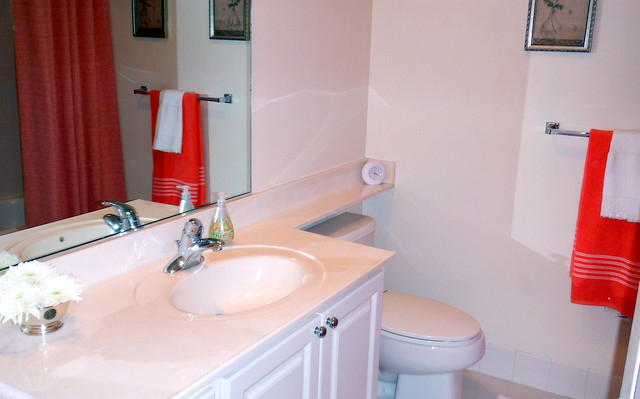 140 Radcliffe Court Jupiter, FL 33458 - Photo 18 of 25 Hall Bath