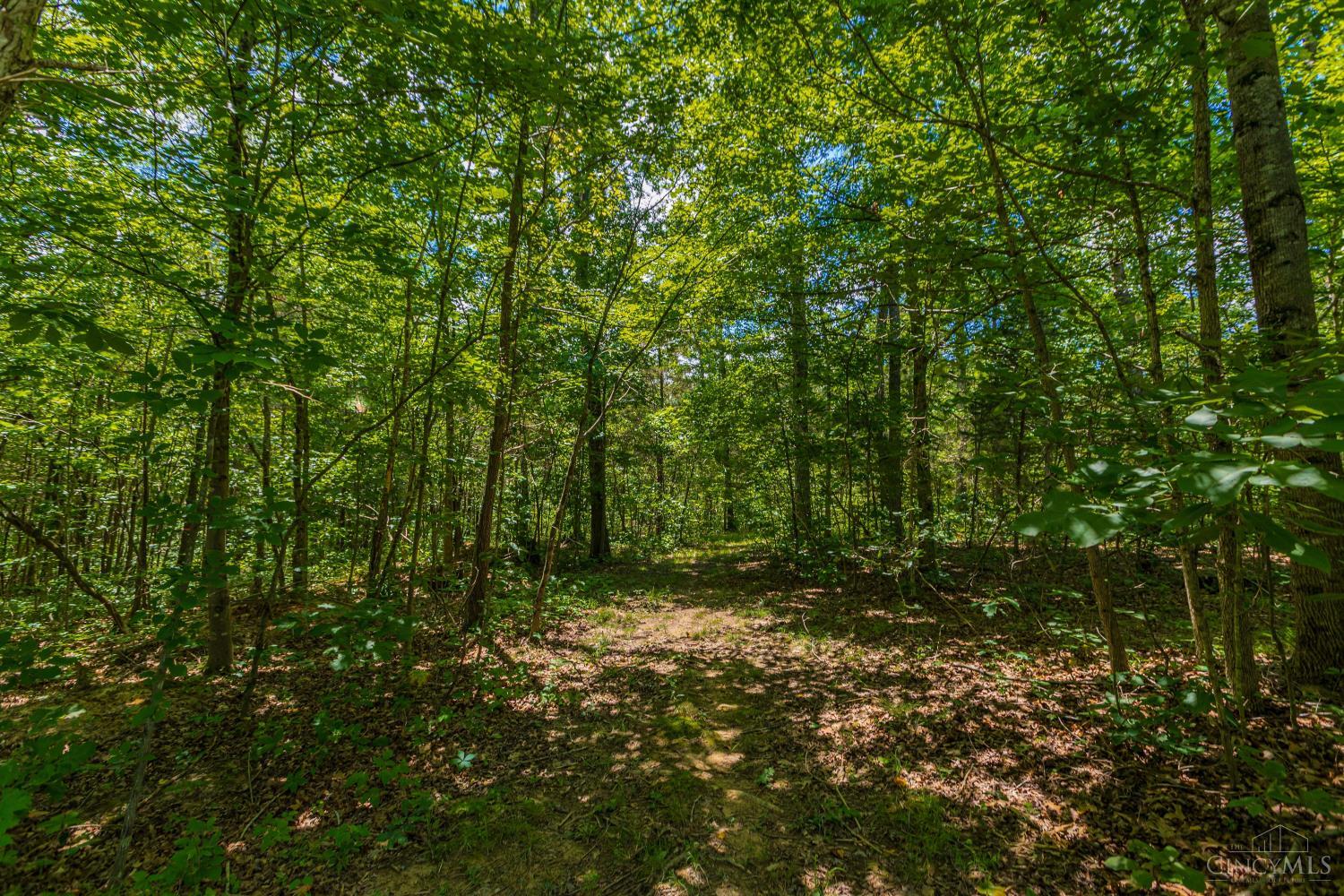 0 Thomas Brown Road Winchester, OH 45697 - Photo 8 of 12