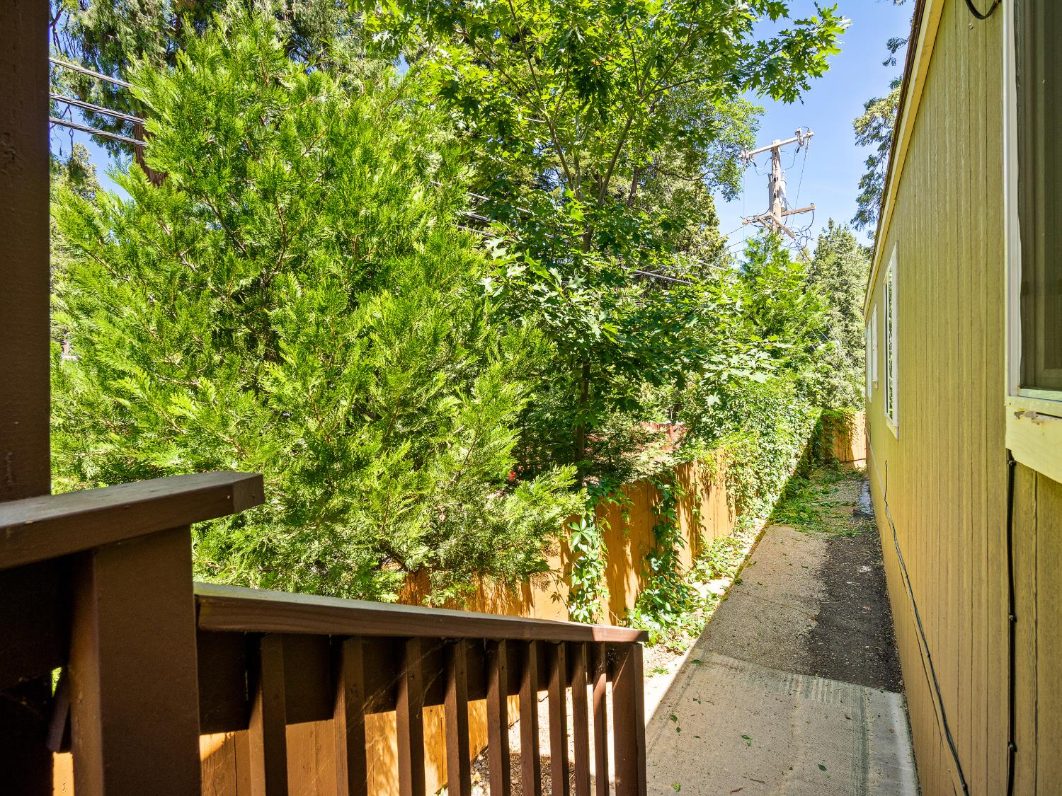 2933 Forebay Road, Unit 28 Pollock Pines, CA 95726 - Photo 3 of 26 a view of a pathway of a garden