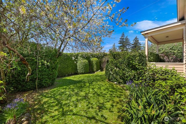 a view of a garden with plants