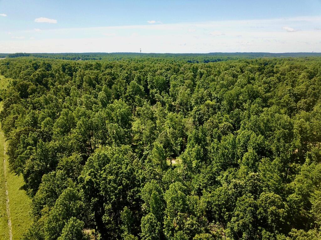4296 Ronnie Lake Road Utica, KY 42376 - Photo 29 of 43 B71CB0D8-2C3D-4FBB-BA9B-C032CA87B7FB_1_1
