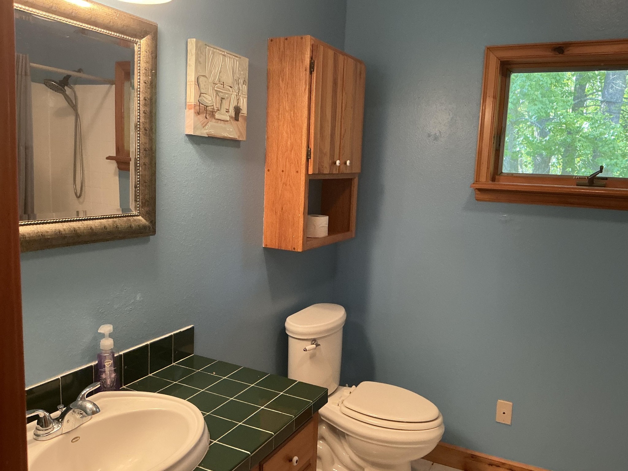 5475 Otto Williams Road Cosby, TN 37722 - Photo 44 of 60