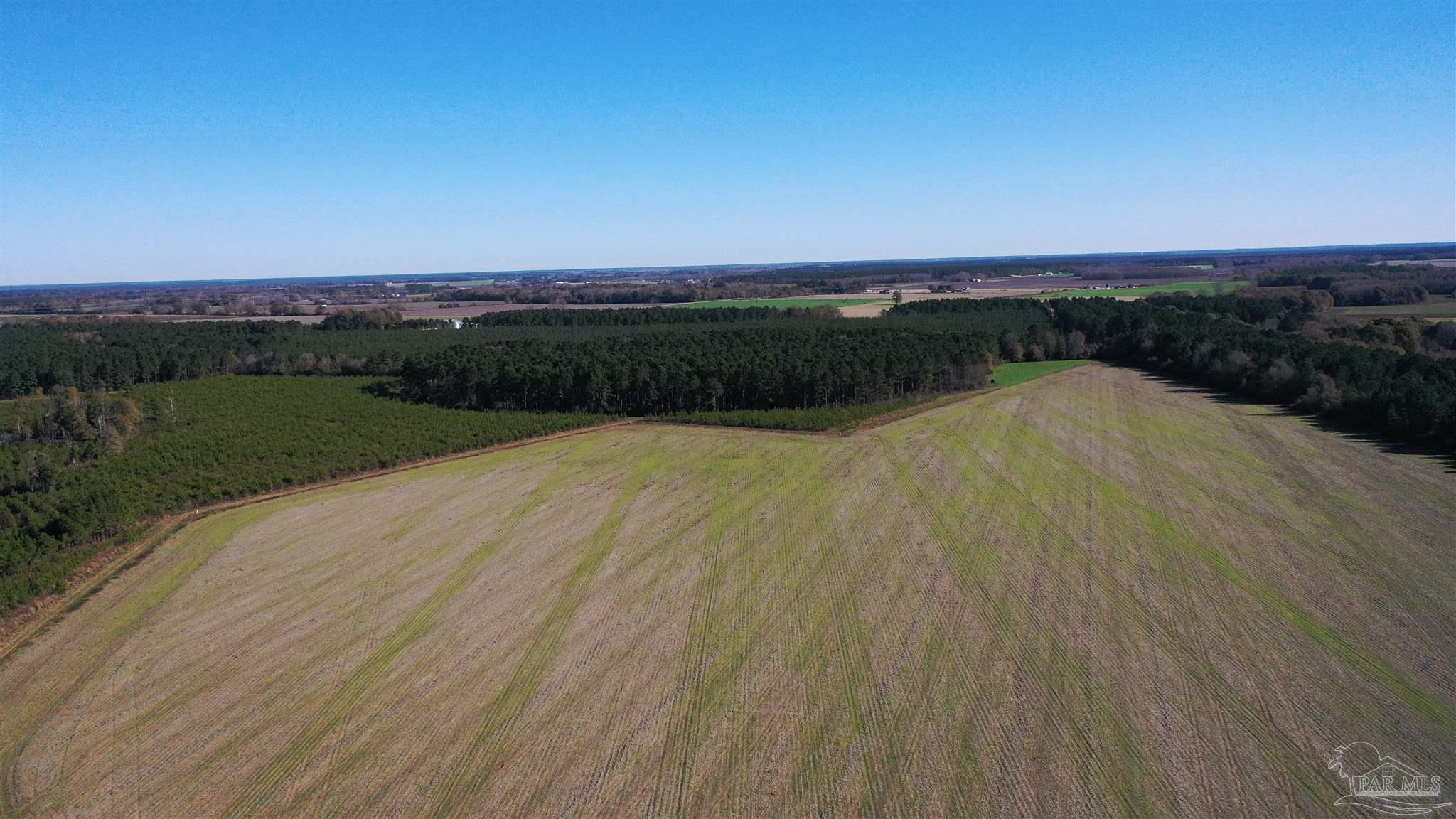 0 Three Mile Road Atmore, AL 36502 - Photo 1 of 41