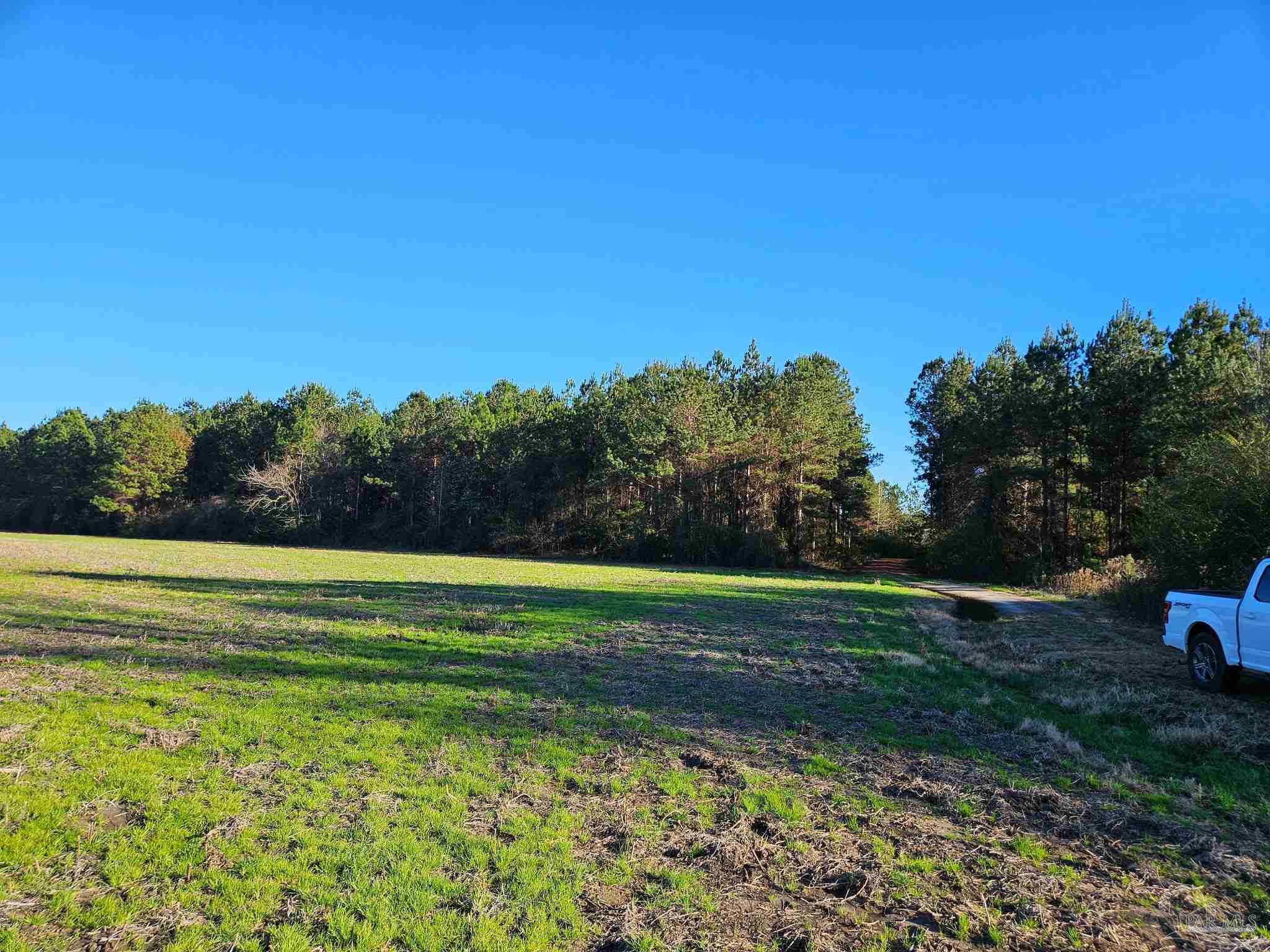 0 Three Mile Road Atmore, AL 36502 - Photo 12 of 41