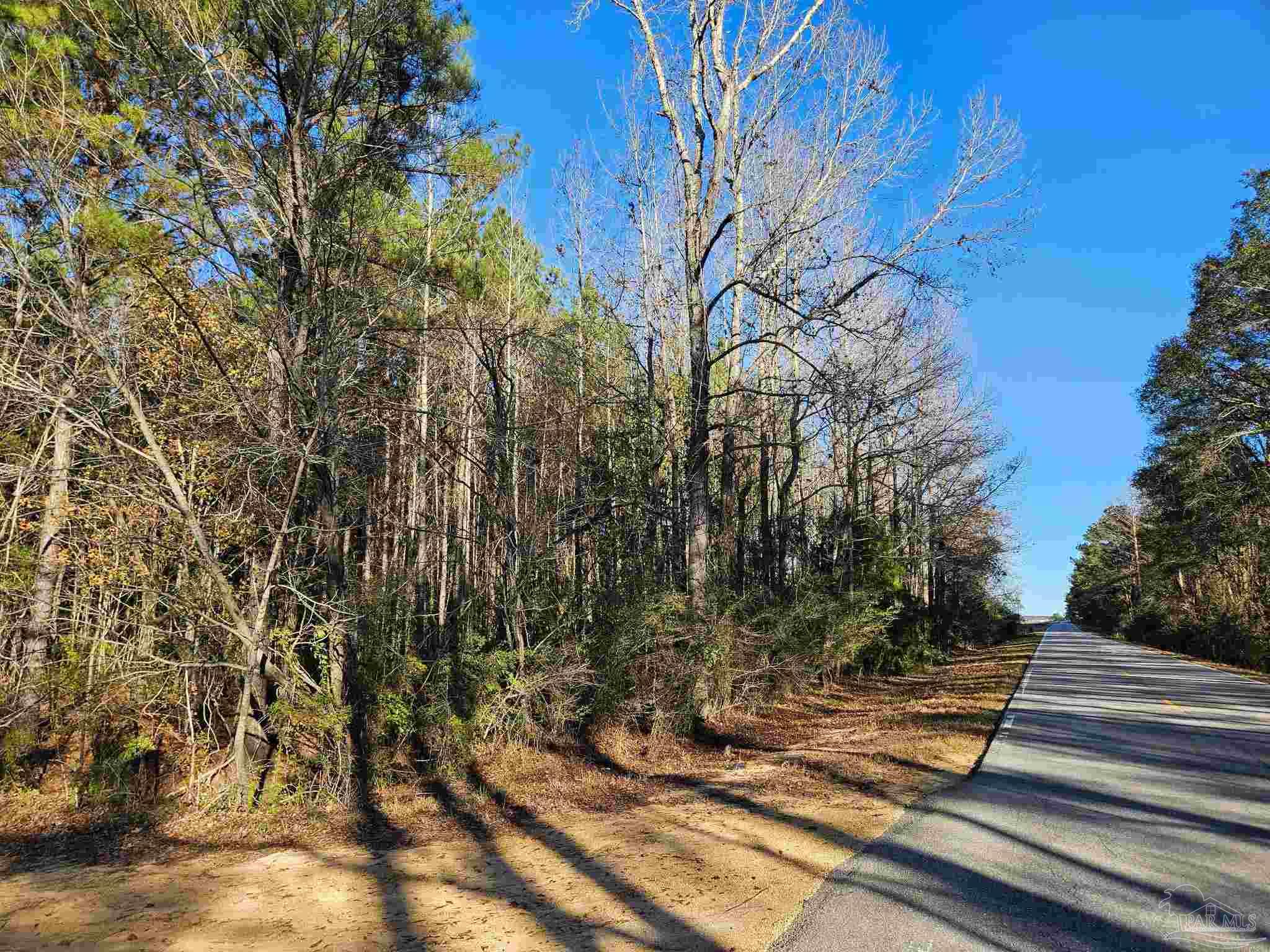 0 Three Mile Road Atmore, AL 36502 - Photo 17 of 41