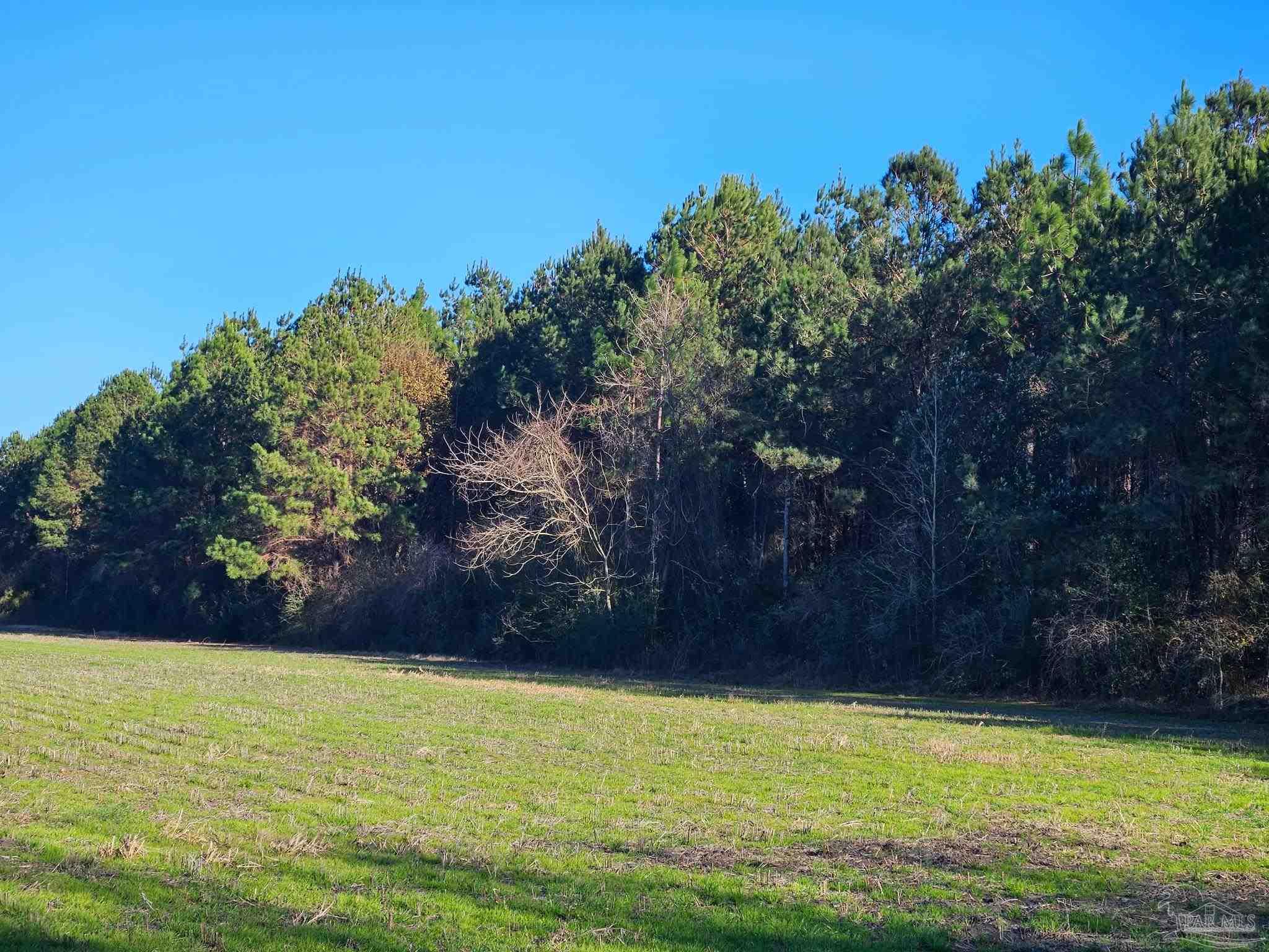 0 Three Mile Road Atmore, AL 36502 - Photo 24 of 41