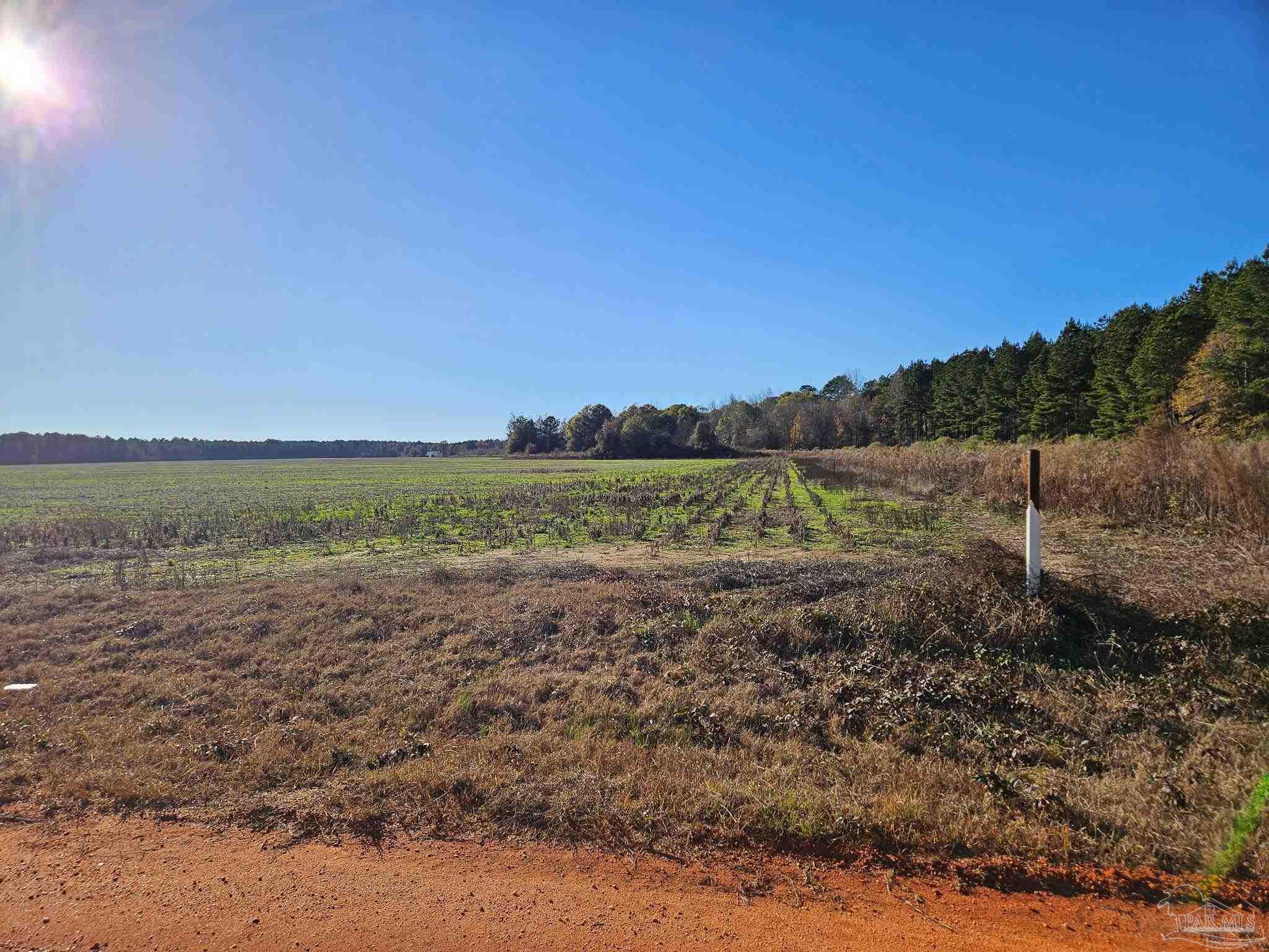 0 Three Mile Road Atmore, AL 36502 - Photo 25 of 41