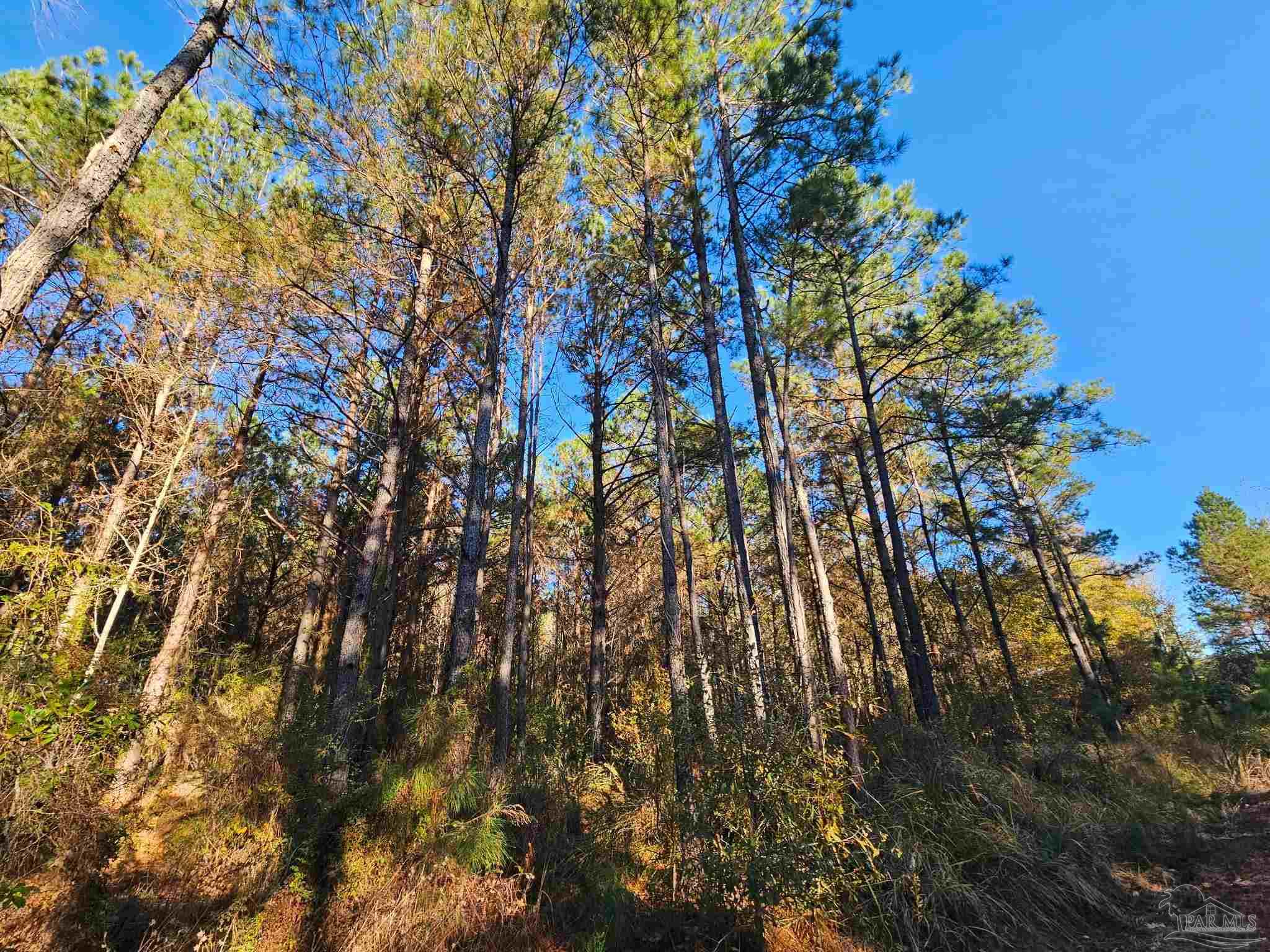 0 Three Mile Road Atmore, AL 36502 - Photo 26 of 41