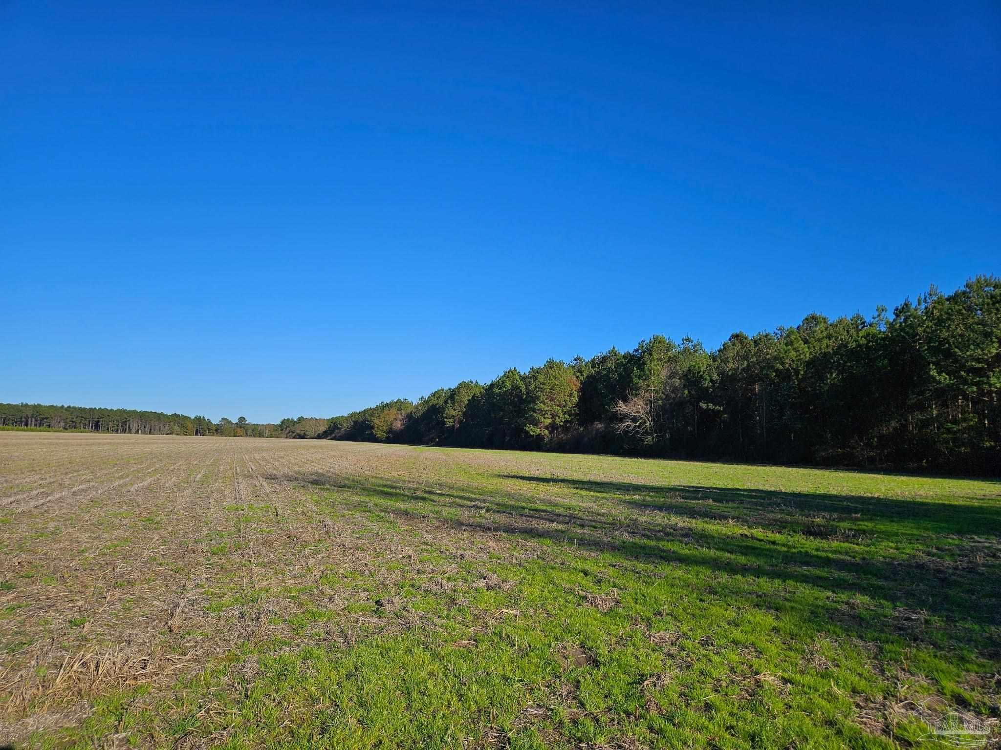 0 Three Mile Road Atmore, AL 36502 - Photo 30 of 41