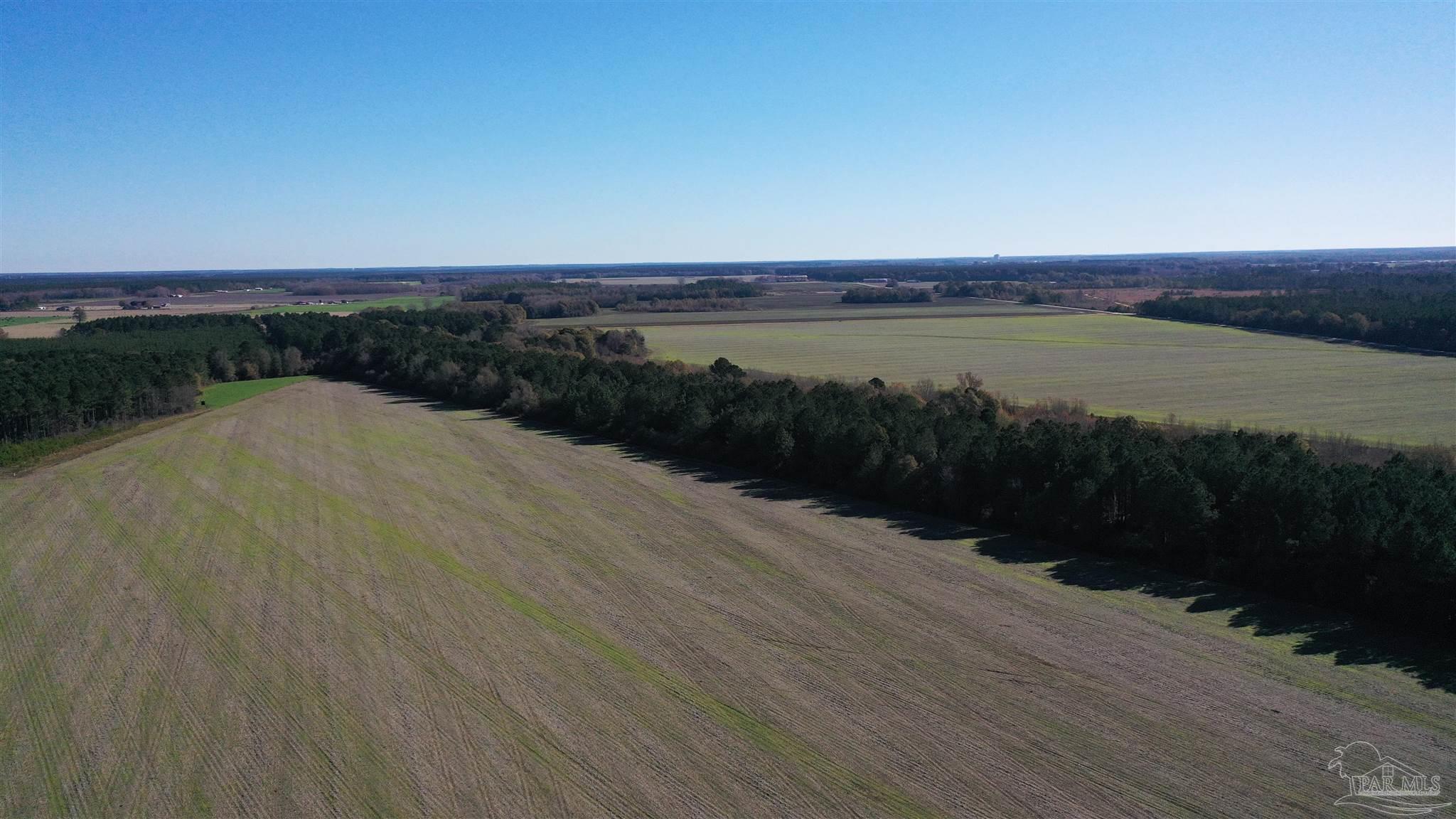 0 Three Mile Road Atmore, AL 36502 - Photo 3 of 41