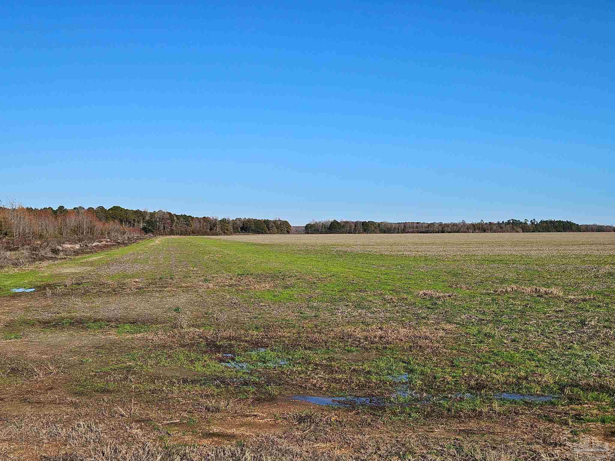0 Three Mile Road Atmore, AL 36502 - Photo 31 of 41