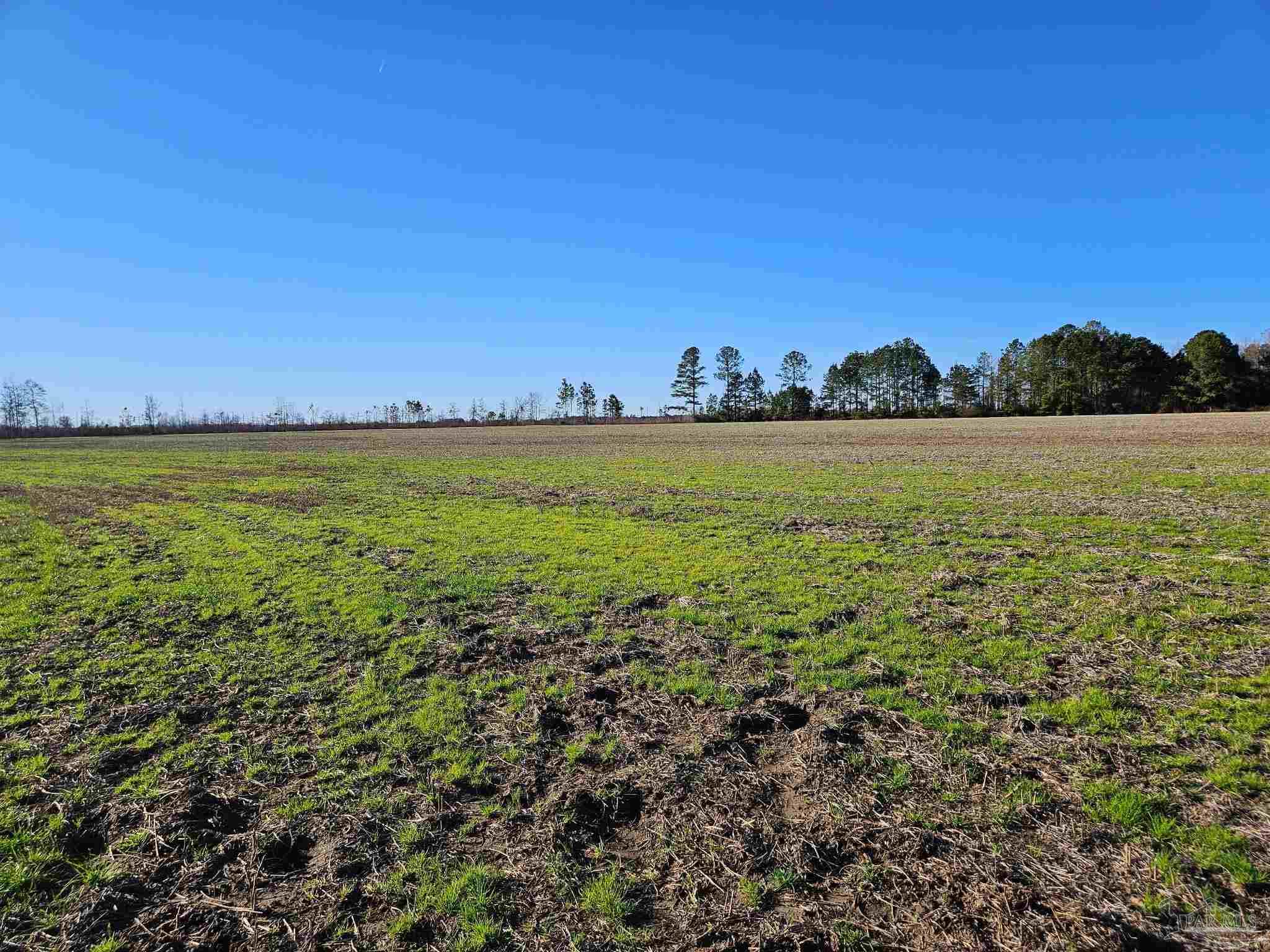 0 Three Mile Road Atmore, AL 36502 - Photo 33 of 41