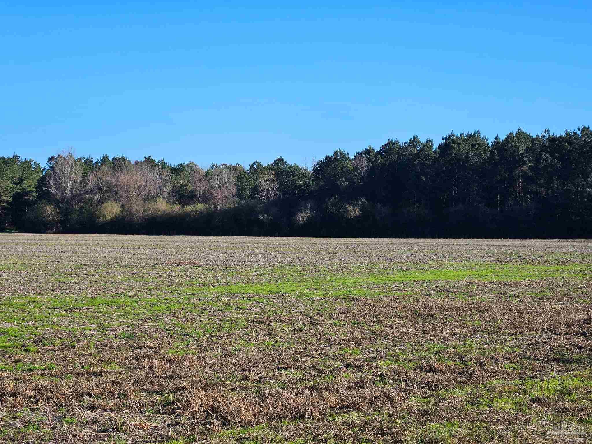 0 Three Mile Road Atmore, AL 36502 - Photo 34 of 41