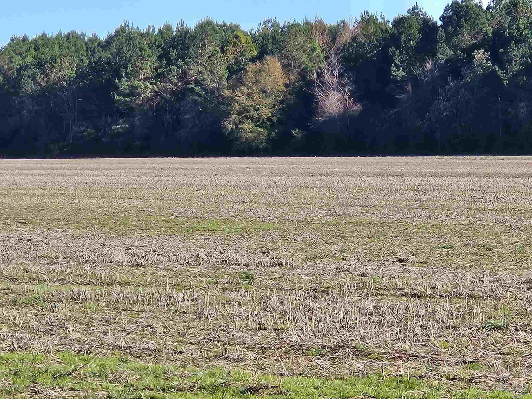 0 Three Mile Road Atmore, AL 36502 - Photo 38 of 41