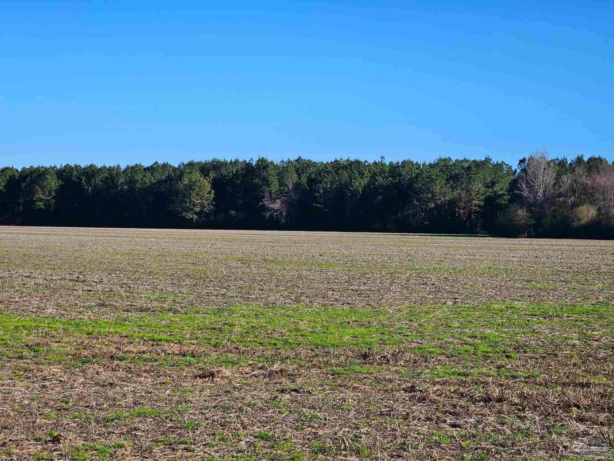 0 Three Mile Road Atmore, AL 36502 - Photo 5 of 41