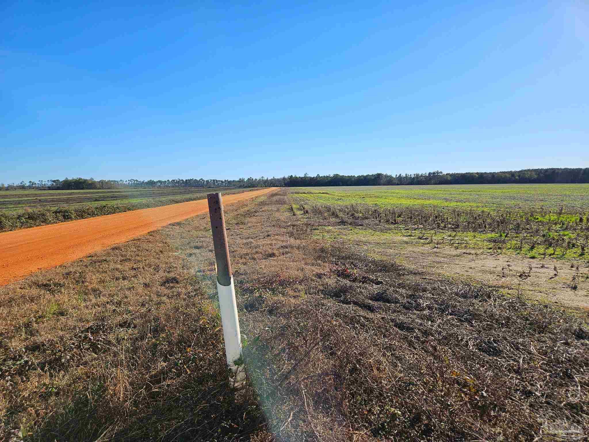 0 Three Mile Road Atmore, AL 36502 - Photo 8 of 41