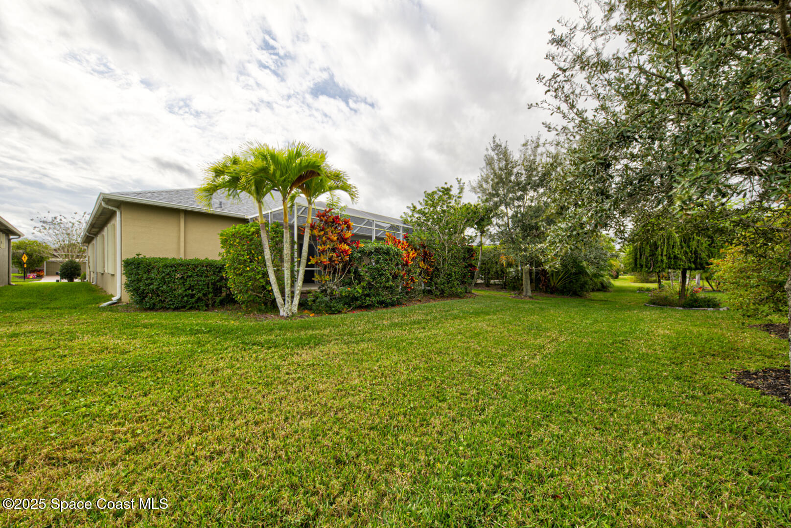 3352 Russ Place Melbourne, FL 32940 - Photo 53 of 67 a palm tree sitting in front of a house with a big yard