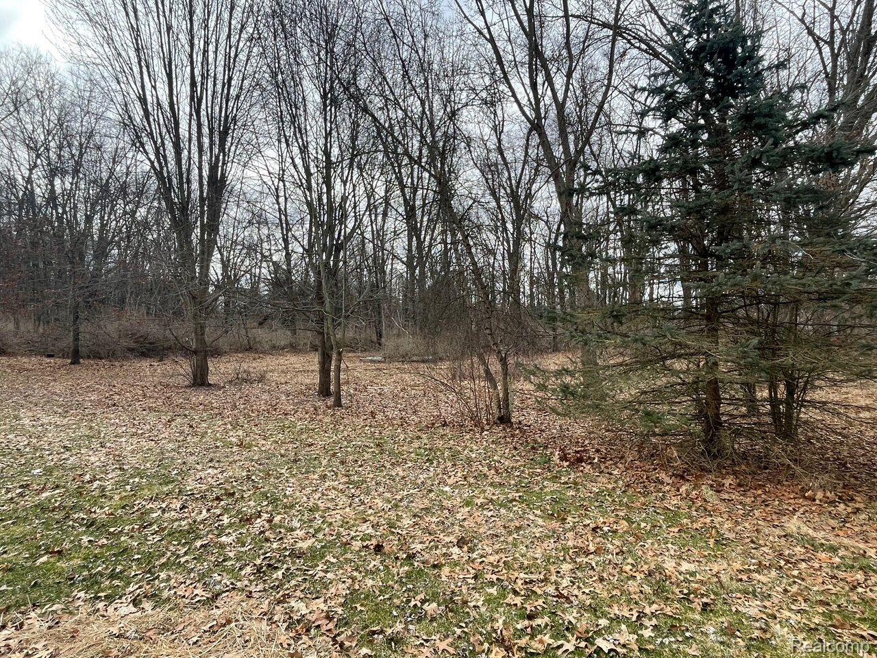 5559 North Tipsico Lake Road Holly, MI 48442 - Photo 15 of 17 Beautiful setting.
