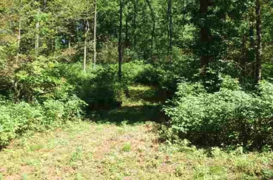 0 23rd Road Mesick, MI 49668 - Photo 4 of 12 Gallery Image 4