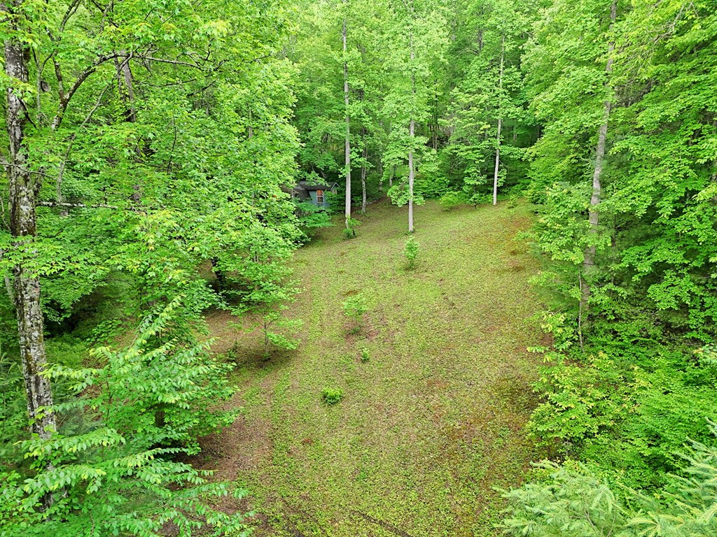 1070 Morgan Creek Road Marble, NC 28905 - Photo 17 of 40