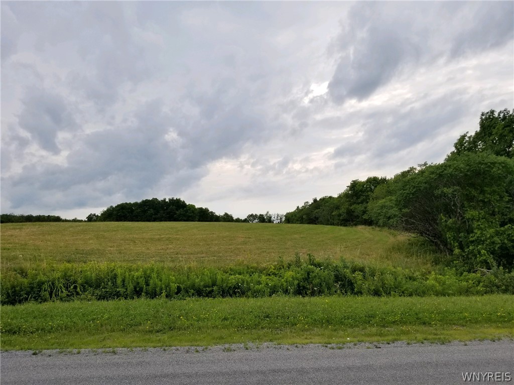 11004 Molasses Hill Road Alexander, NY 14005 - Photo 1 of 1 Gallery Image 1