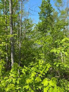 0 Rt 174 Route Prospect, ME 04981 - Photo 2 of 13 IMG_2663