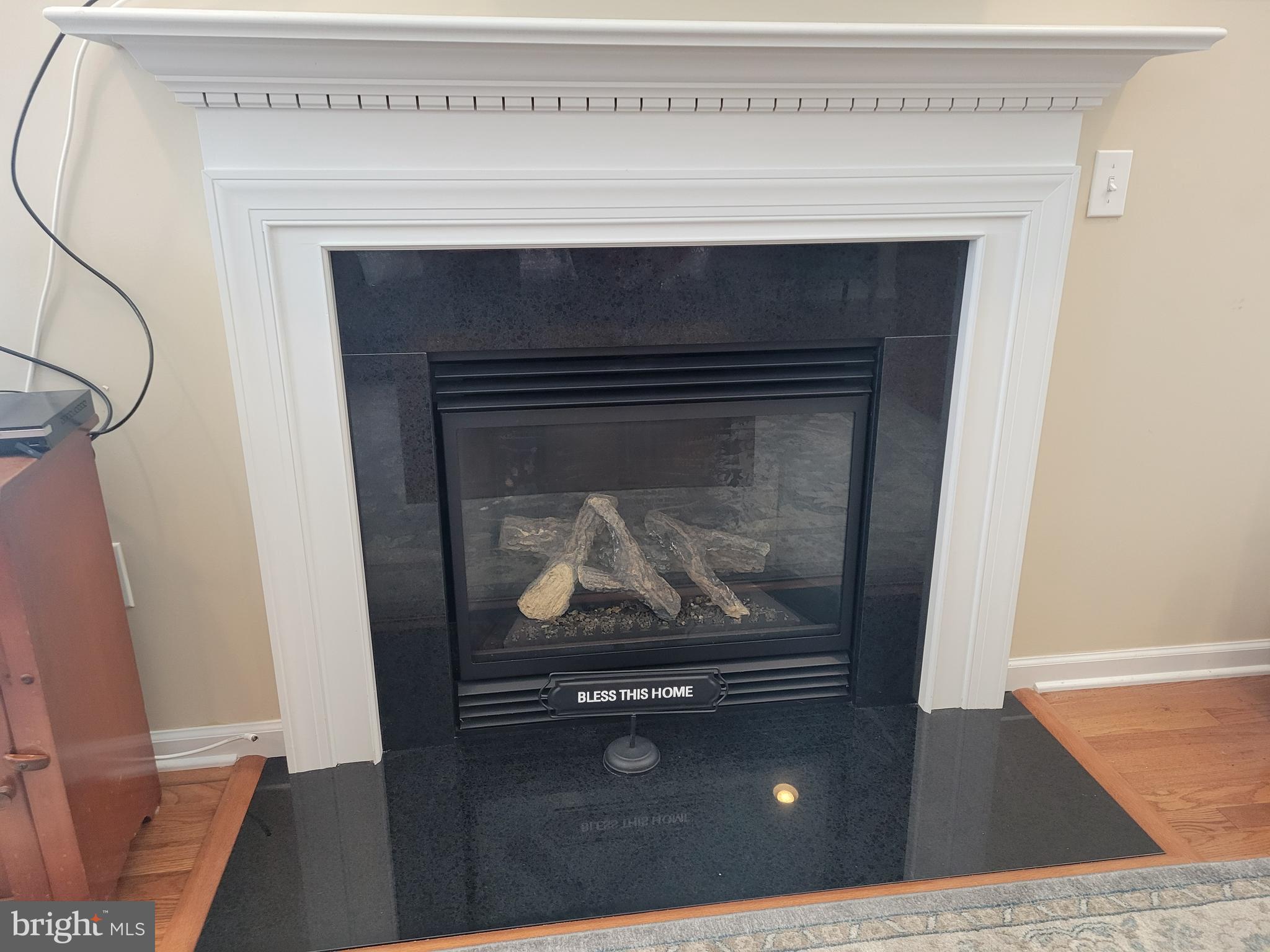 19 Cherry Hill Road Magnolia, DE 19962 - Photo 11 of 48 Gas Fireplace