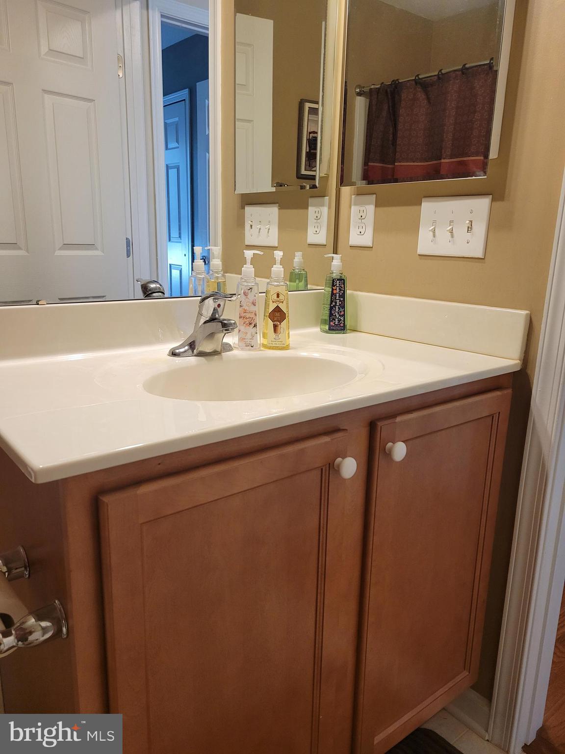 19 Cherry Hill Road Magnolia, DE 19962 - Photo 25 of 48 Shared Hallway Bathroom Sink