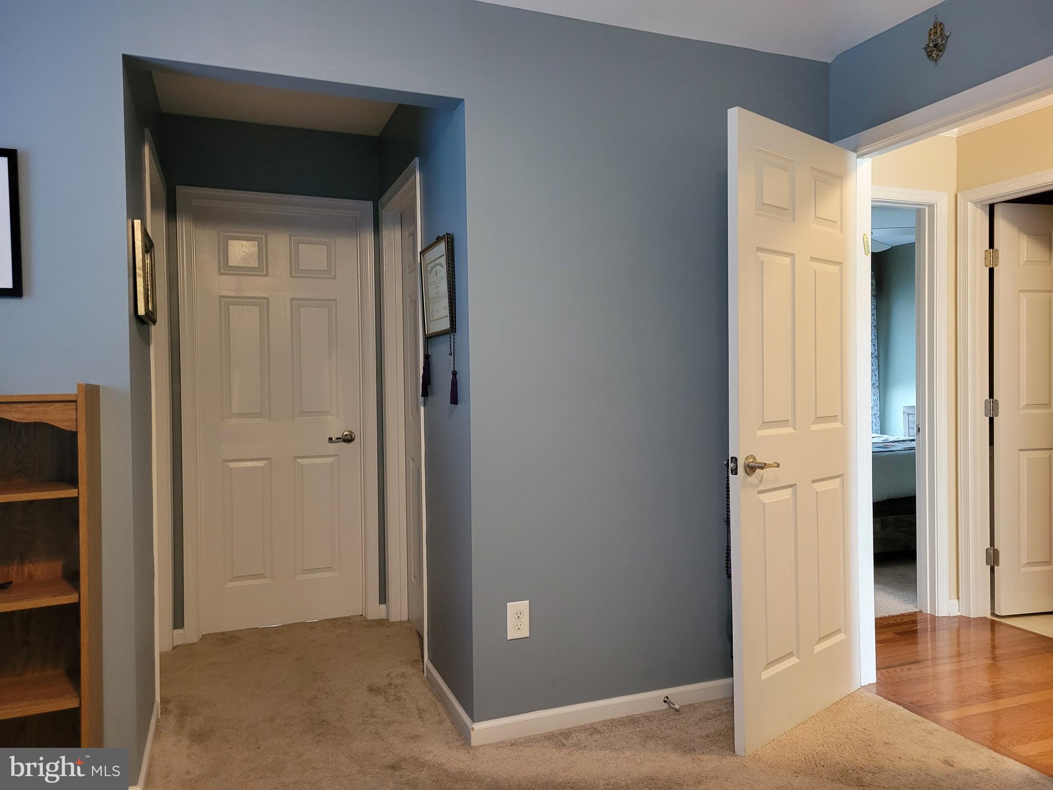 19 Cherry Hill Road Magnolia, DE 19962 - Photo 28 of 48 Hallway connects Owner Bath + 2 Walk-in Closets!