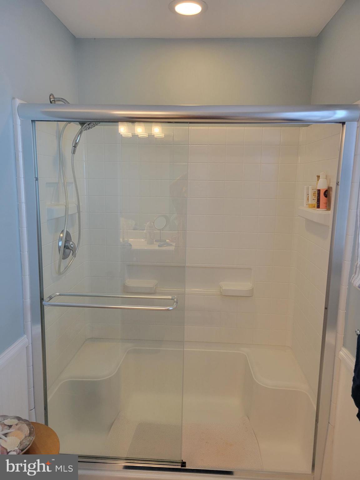 19 Cherry Hill Road Magnolia, DE 19962 - Photo 29 of 48 Well-lit Walk-in Shower