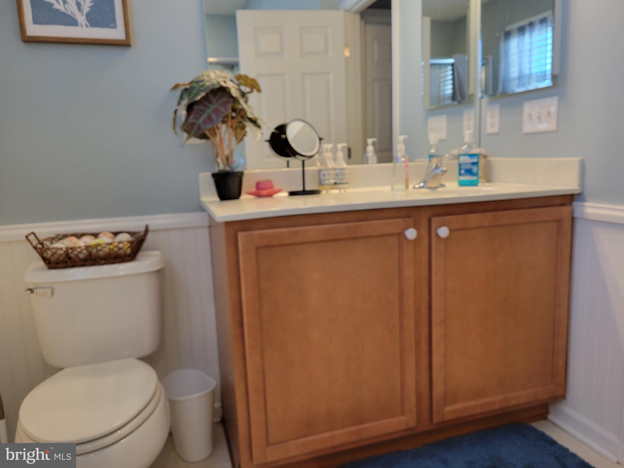 19 Cherry Hill Road Magnolia, DE 19962 - Photo 30 of 48 Owner Bathroom Vanity