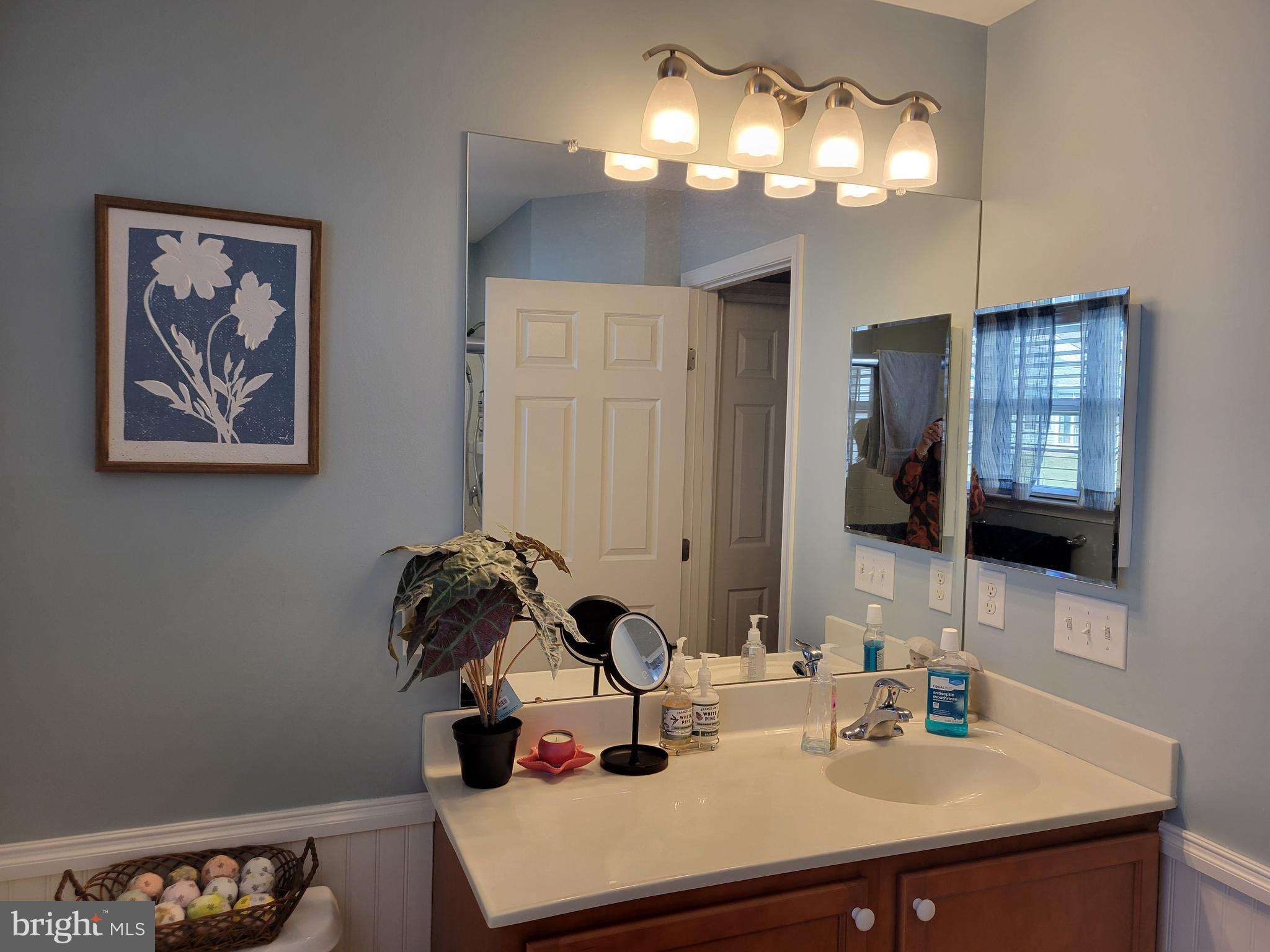 19 Cherry Hill Road Magnolia, DE 19962 - Photo 31 of 48 Well-lit Owner Bathroom