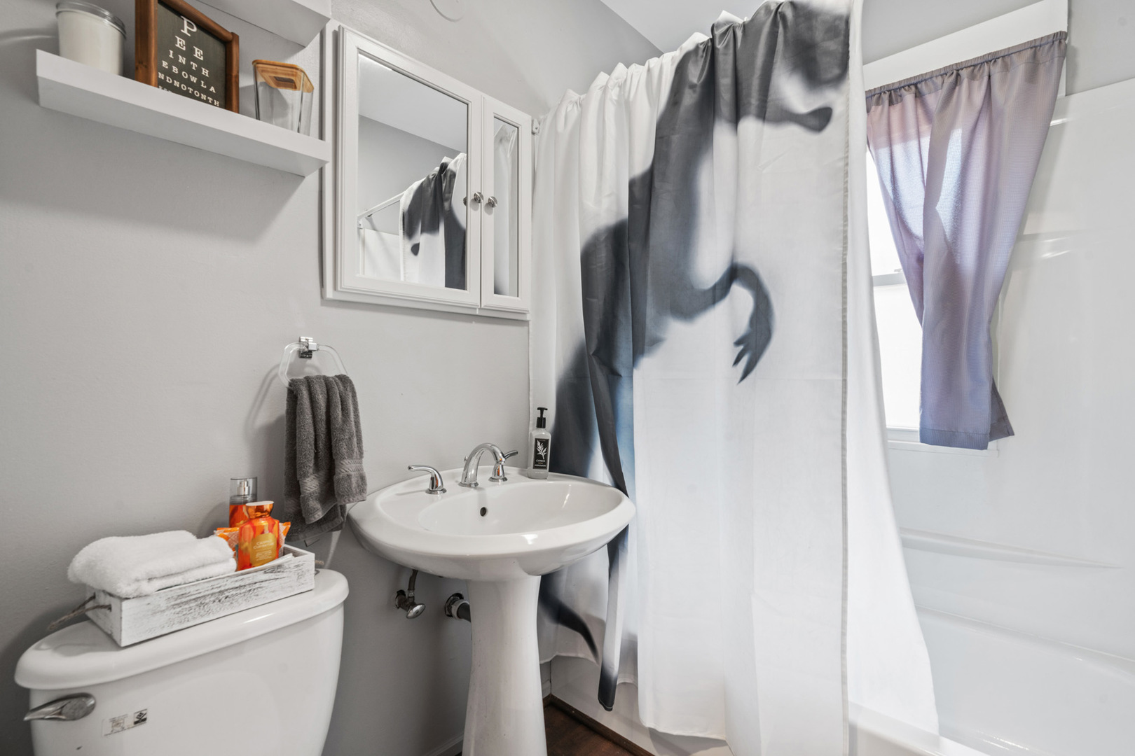 206 Washington Street Oswego, IL 60543 - Photo 17 of 45 a bathroom with a sink toilet and a mirror