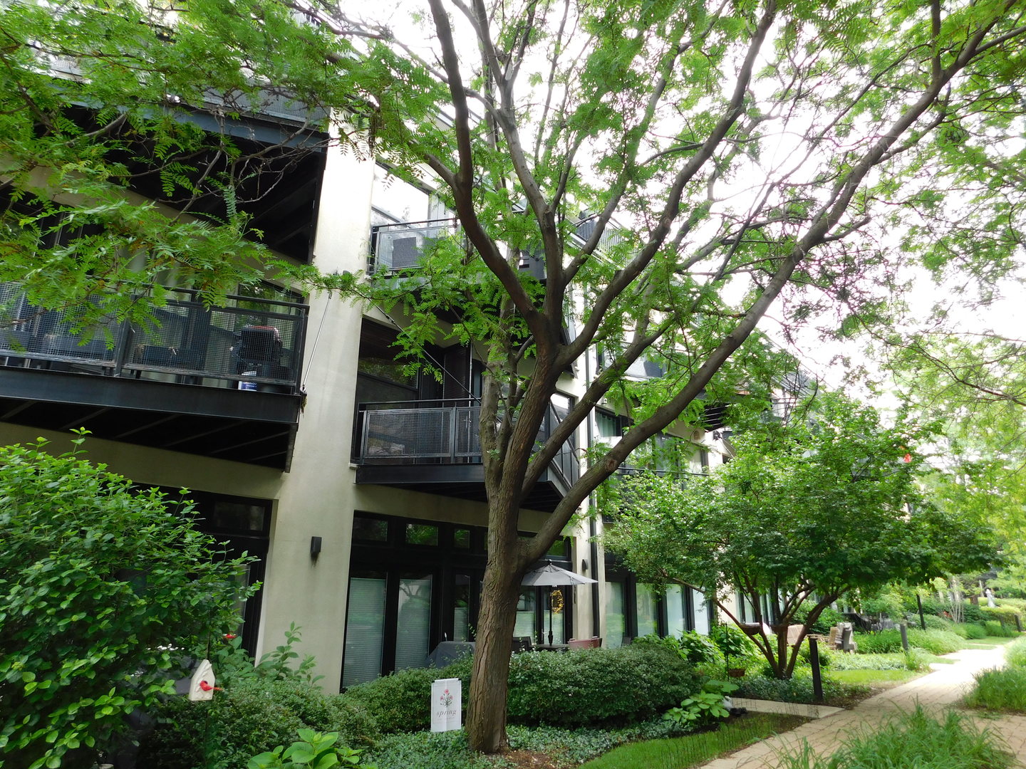 1069 West 14th Place, Unit 204 Chicago, IL 60608 - Photo 12 of 18 front view of a house with a tree