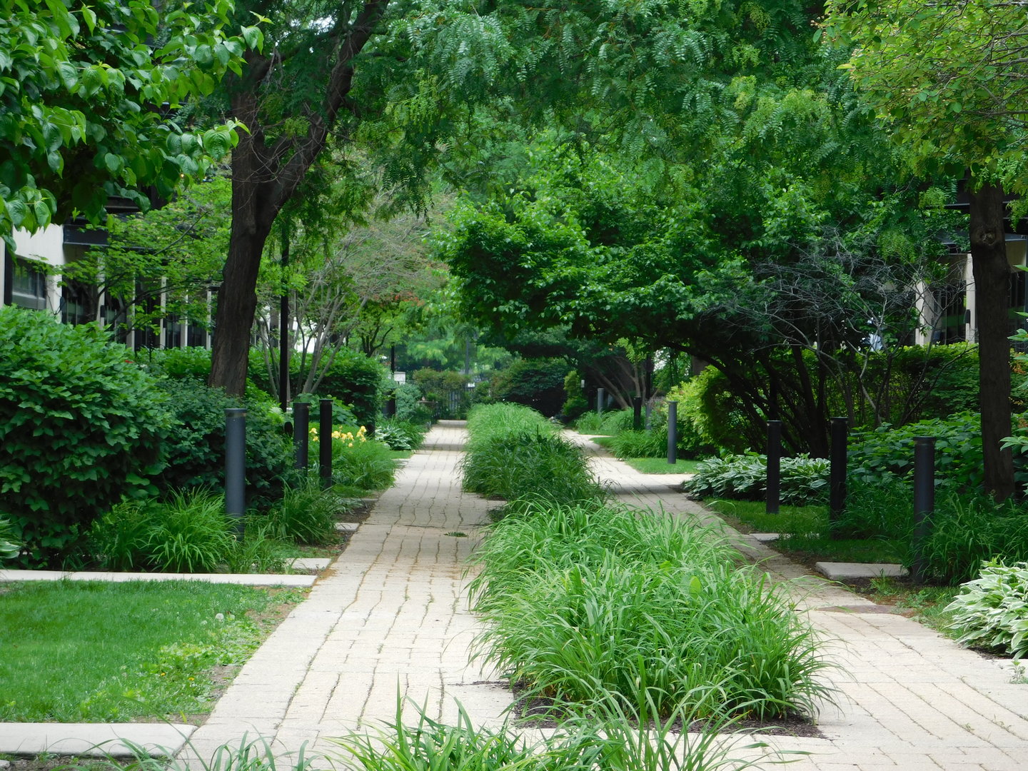 1069 West 14th Place, Unit 204 Chicago, IL 60608 - Photo 13 of 18 a view of backyard with green space