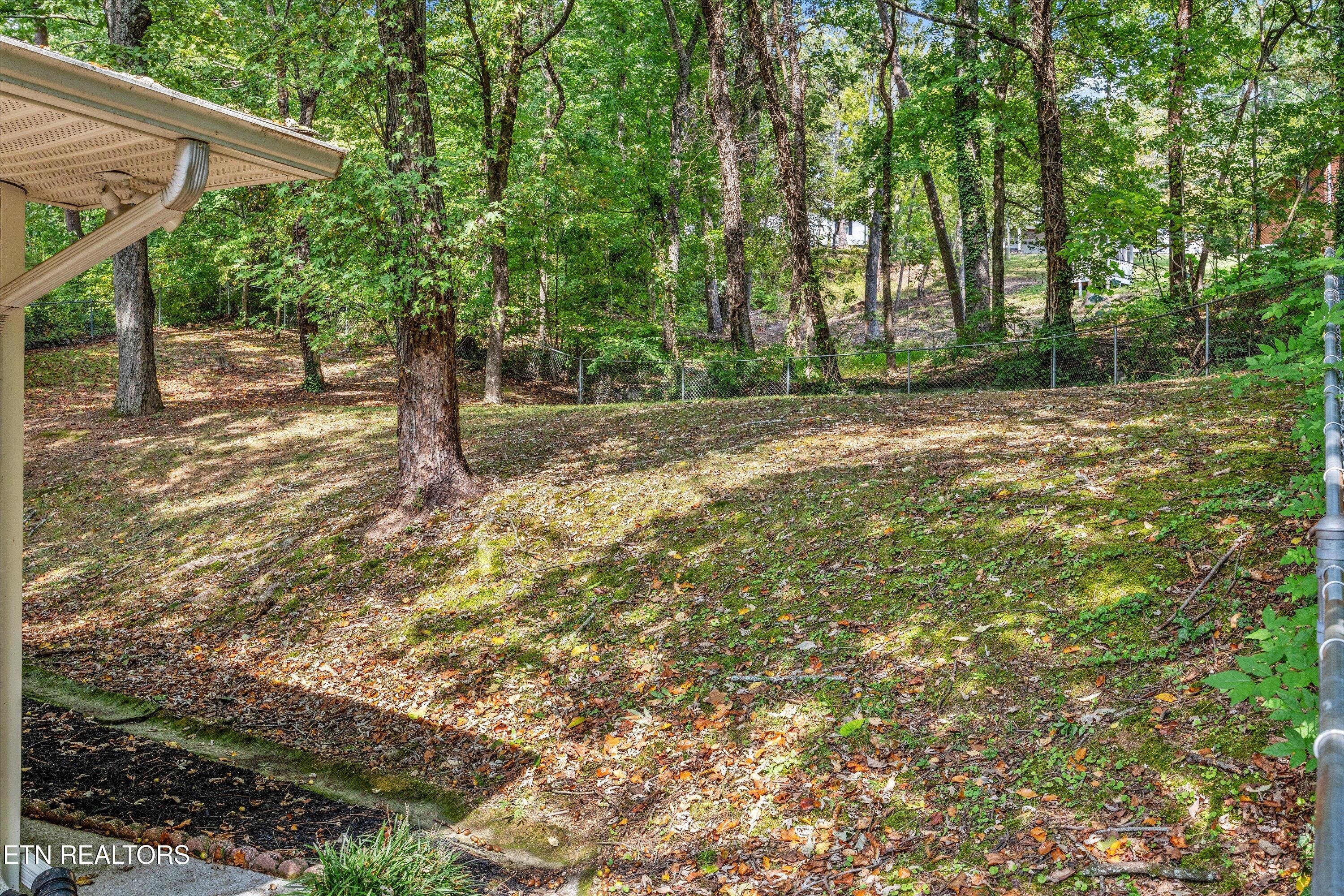 5614 Wassman Road Knoxville, TN 37912 - Photo 28 of 36 32-5614 Wassman Rd 34