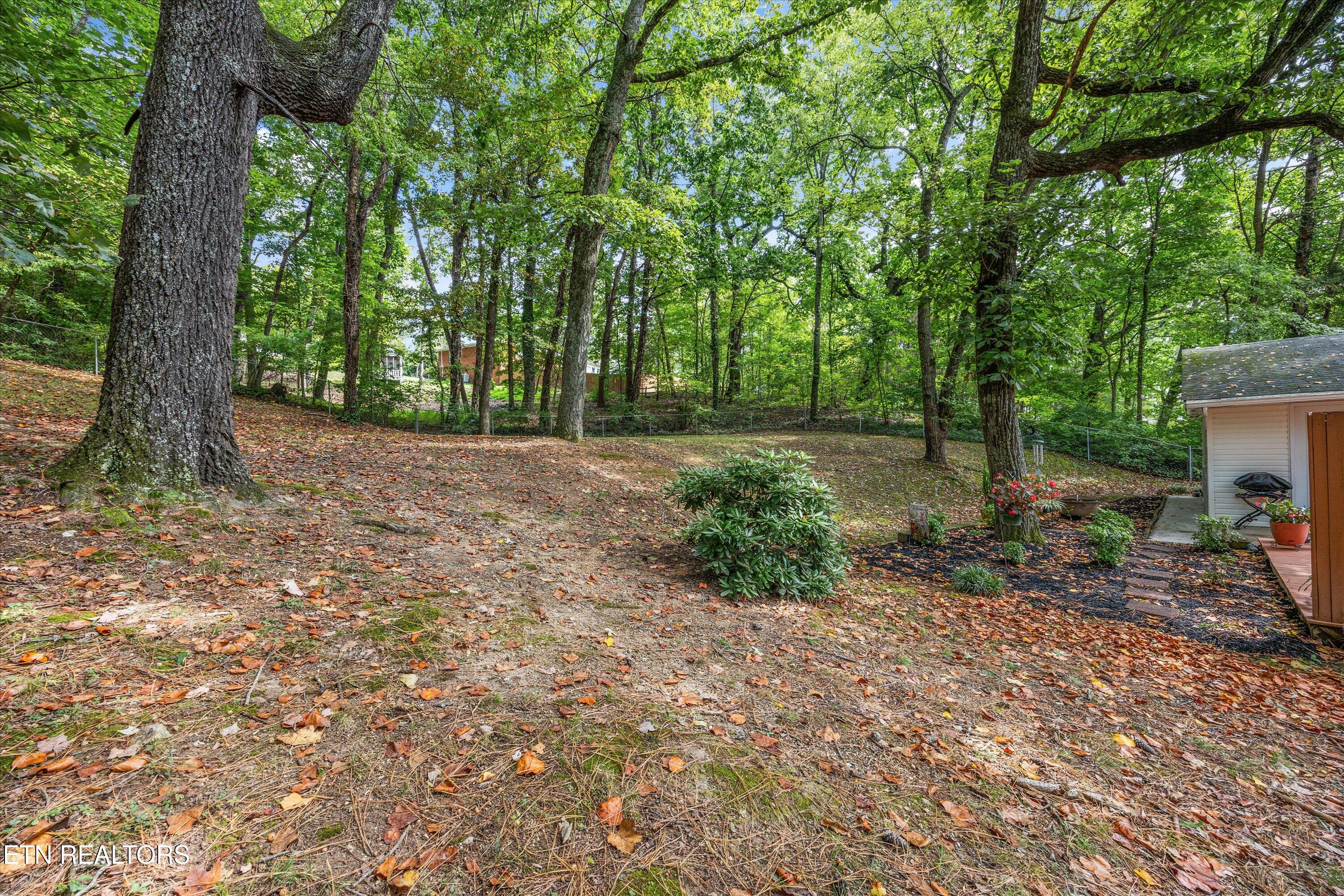 5614 Wassman Road Knoxville, TN 37912 - Photo 32 of 36 36-5614 Wassman Rd 01